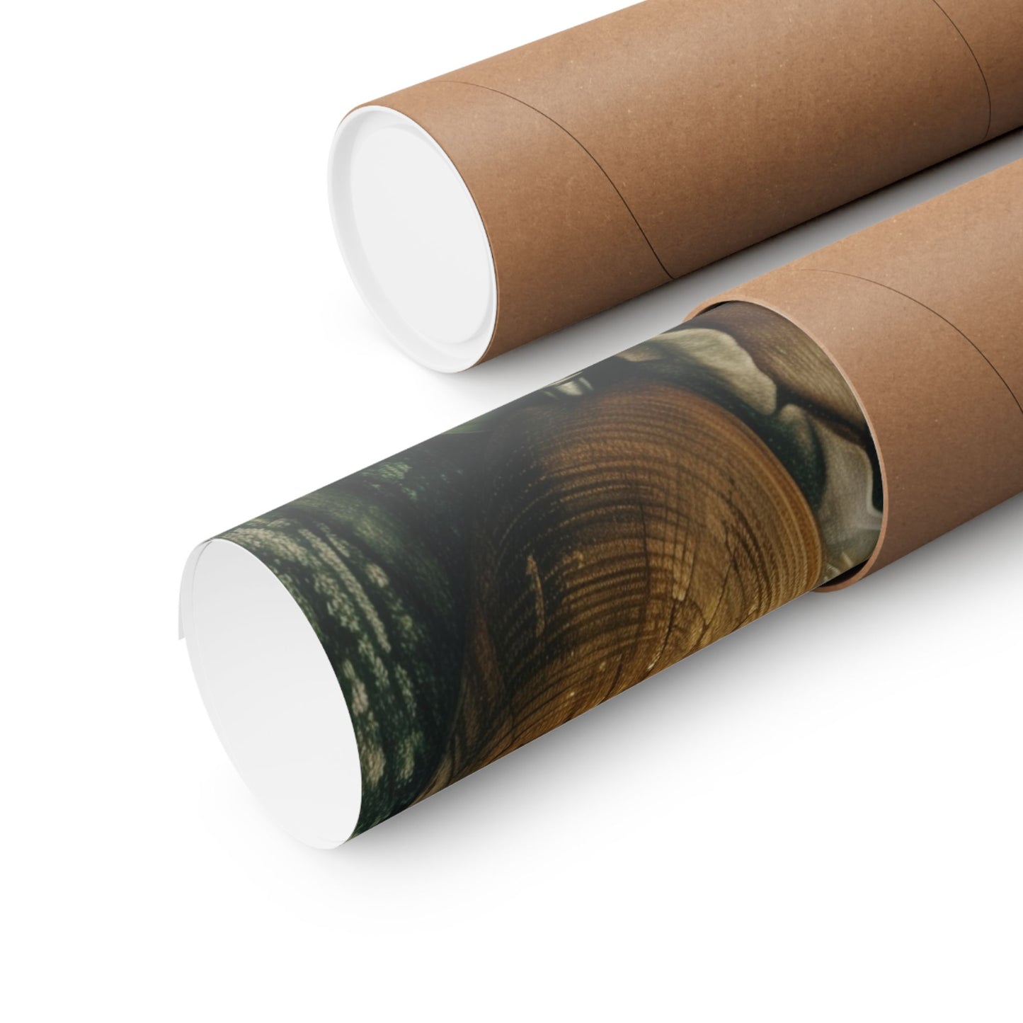 Rastafari Matte Poster