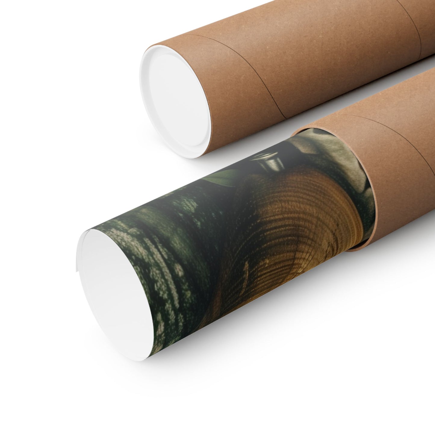 Rastafari Matte Poster