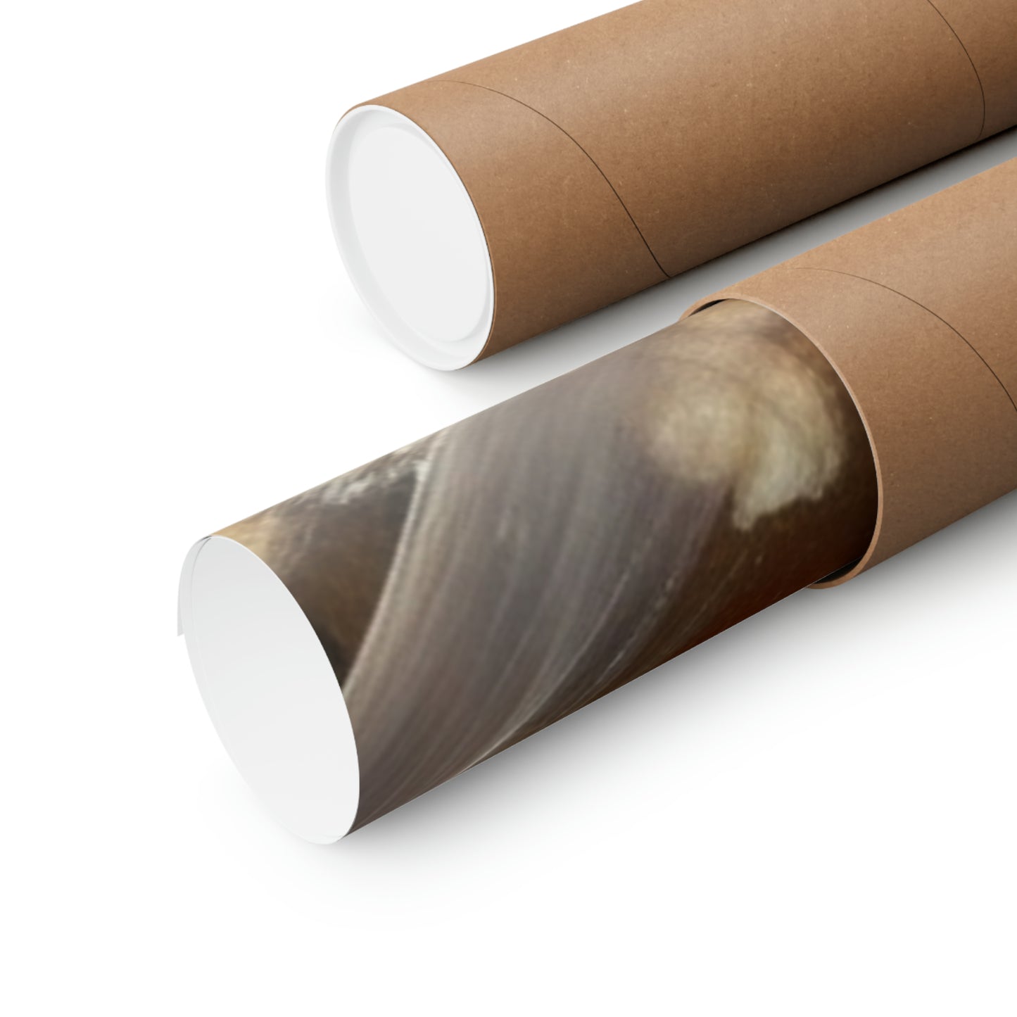 Weasels and Popocorn Matte Horizontal Posters