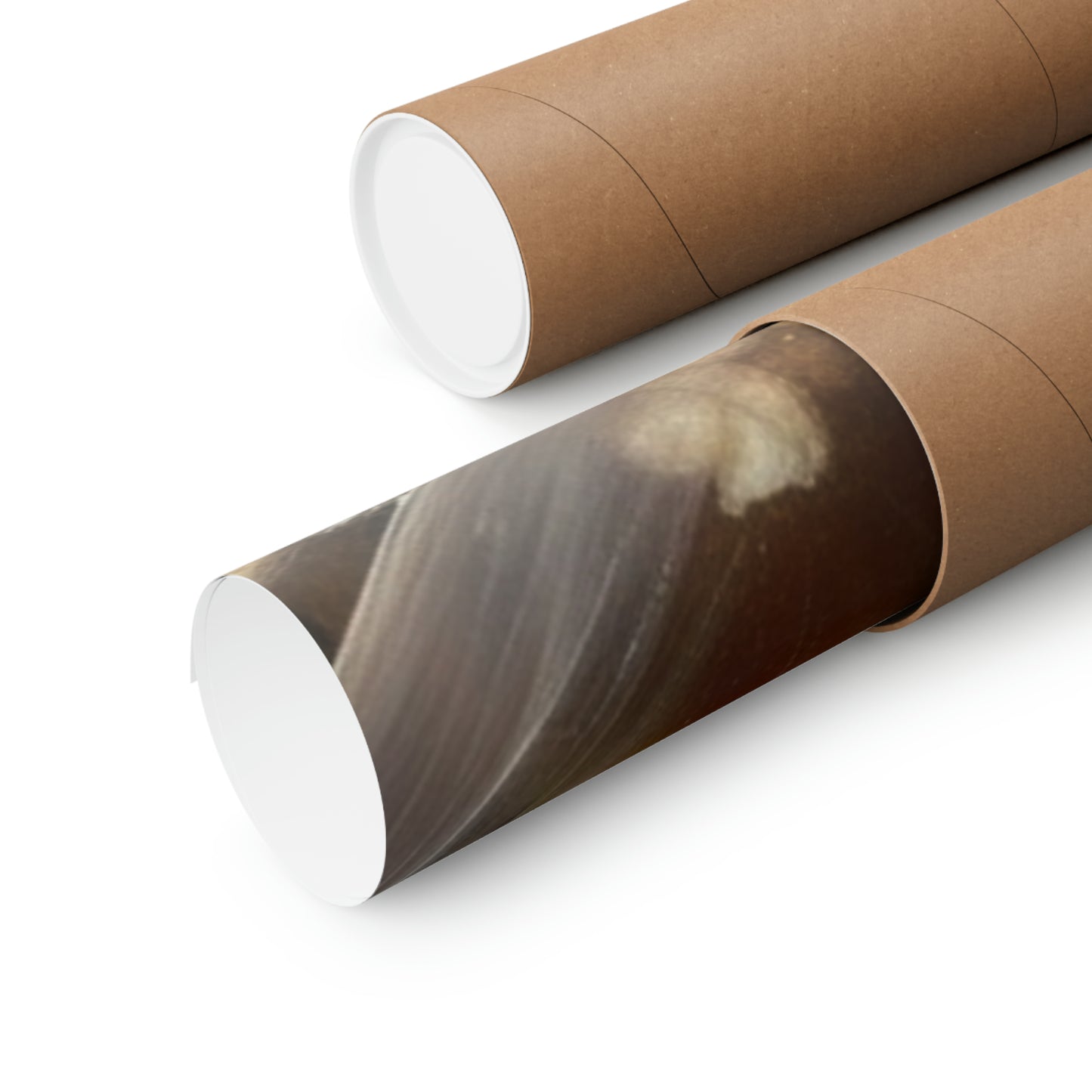 Weasels and Popocorn Matte Horizontal Posters