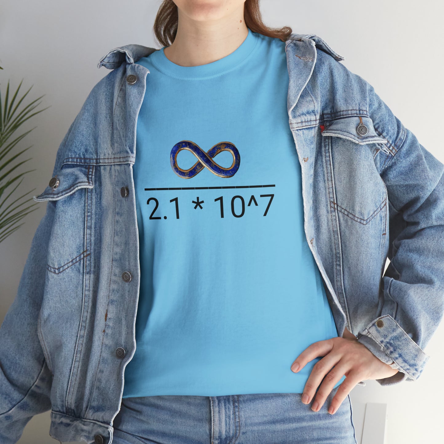 Pricing the Universe in Bitcoin Unisex Heavy Cotton Tee